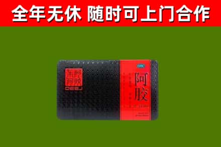耒阳市回收阿胶